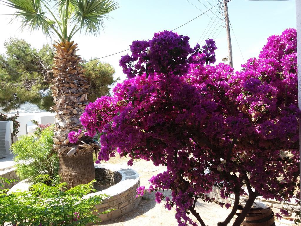 Krotiri Bay -Adults Only Parikia  Exterior photo